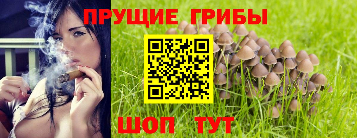 Галлюциногенные грибы MAGIC MUSHROOMS Химки