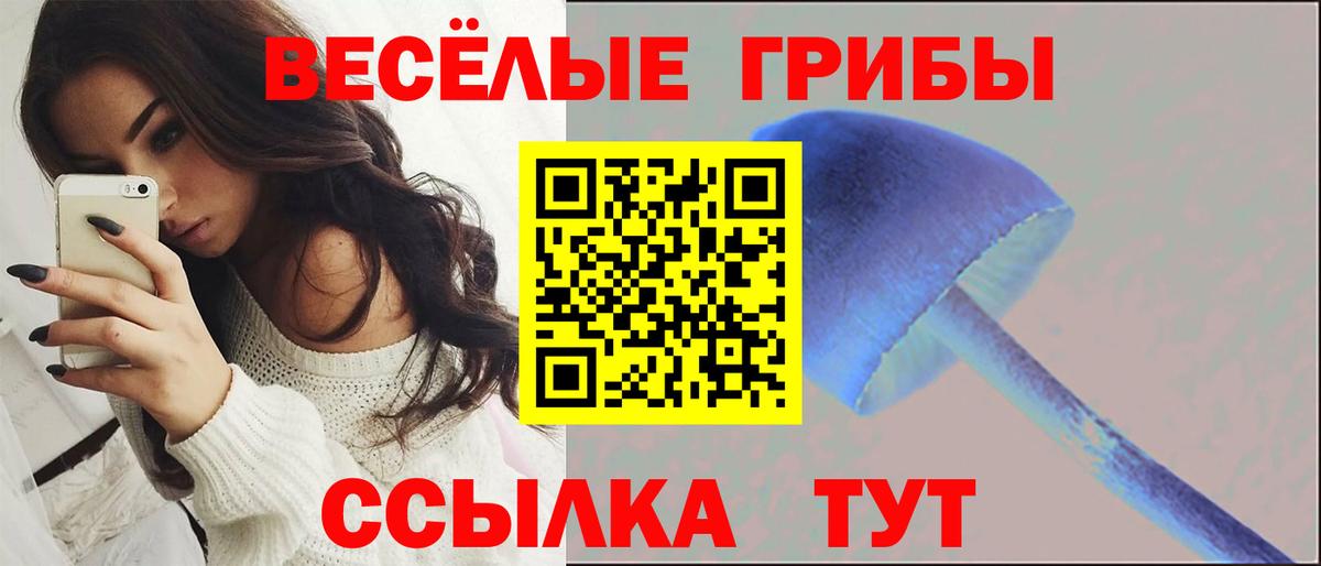 LSD-25 Химки